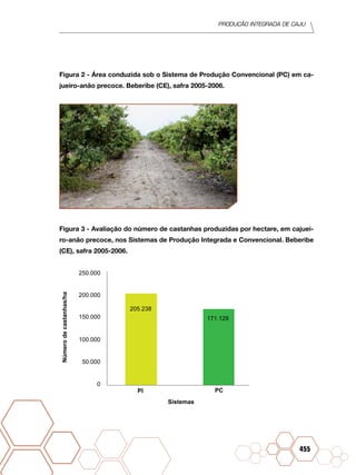 PRODUÇÃO INTEGRADA DE CAJU
455
Figura 2 - Área conduzida sob o Sistema de Produção Convencional (PC) em ca-
jueiro-anão precoce. Beberibe (CE), safra 2005-2006.
Figura 3 - Avaliação do número de castanhas produzidas por hectare, em cajuei-
ro-anão precoce, nos Sistemas de Produção Integrada e Convencional. Beberibe
(CE), safra 2005-2006.
205.238
171.129
PI PC
Sistemas
Númerodecastanhas/ha
250.000
200.000
150.000
100.000
50.000
0
 