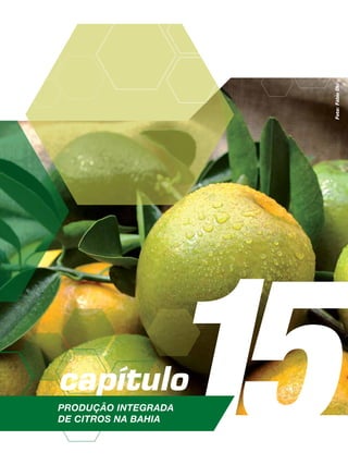15capítulo
Produção Integrada
de citros na Bahia
Foto:FábioOki
 