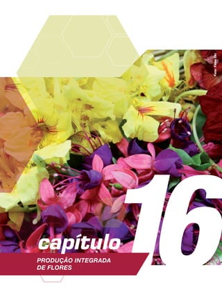16capítulo
Produção Integrada
de flores
Foto:FábioOki
 