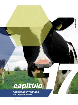 17capítulo
Produção Integrada
de leite bovino
Foto:Stockxpert
 