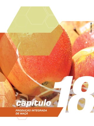 18capítulo
Produção Integrada
de maçã
Foto:FábioOki
 