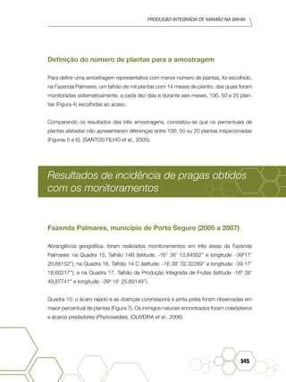 Produção Integrada de mamão na Bahia
545
Definição do número de plantas para a amostragem
Para definir uma amostragem representativa com menor número de plantas, foi escolhido,
na Fazenda Palmares, um talhão de mil plantas com 14 meses de plantio, das quais foram
monitoradas sistematicamente, a cada dez dias e durante seis meses, 100, 50 e 20 plan-
tas (Figura 4) escolhidas ao acaso.
Comparando os resultados das três amostragens, constatou-se que os percentuais de
plantas afetadas não apresentaram diferenças entre 100, 50 ou 20 plantas inspecionadas
(Figuras 5 e 6), (SANTOS FILHO et al., 2005).
Resultados de incidência de pragas obtidos
com os monitoramentos
Fazenda Palmares, município de Porto Seguro (2005 a 2007)
Abrangência geográfica: foram realizados monitoramentos em três áreas da Fazenda
Palmares: na Quadra 15, Talhão 14B (latitude: -16° 38’ 13,84562’’ e longitude: -39º17’
20,68152’’); na Quadra 16, Talhão 14 C (latitude: -16 38’ 32,32289’’ e longitude: -39 17’
18,60217’’); e na Quadra 17, Talhão da Produção Integrada de Frutas (latitude -16º 38’
49,87741’’ e longitude: -39º 18’ 25,89149’’).
Quadra 15: o ácaro rajado e as doenças corynespora e pinta-preta foram observadas em
maior percentual de plantas (Figura 7). Os inimigos naturais encontrados foram coleópteros
e ácaros predadores (Phytoseiidae), (OLIVEIRA et al., 2006).
 