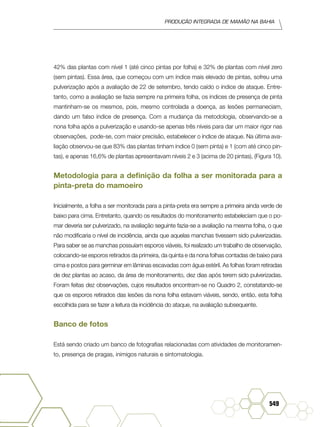 Produção Integrada de mamão na Bahia
549
42% das plantas com nível 1 (até cinco pintas por folha) e 32% de plantas com nível zero
(sem pintas). Essa área, que começou com um índice mais elevado de pintas, sofreu uma
pulverização após a avaliação de 22 de setembro, tendo caído o índice de ataque. Entre-
tanto, como a avaliação se fazia sempre na primeira folha, os índices de presença de pinta
mantinham-se os mesmos, pois, mesmo controlada a doença, as lesões permaneciam,
dando um falso índice de presença. Com a mudança da metodologia, observando-se a
nona folha após a pulverização e usando-se apenas três níveis para dar um maior rigor nas
observações, pode-se, com maior precisão, estabelecer o índice de ataque. Na última ava-
liação observou-se que 83% das plantas tinham índice 0 (sem pinta) e 1 (com até cinco pin-
tas), e apenas 16,6% de plantas apresentavam níveis 2 e 3 (acima de 20 pintas), (Figura 10).
Metodologia para a definição da folha a ser monitorada para a
pinta-preta do mamoeiro
Inicialmente, a folha a ser monitorada para a pinta-preta era sempre a primeira ainda verde de
baixo para cima. Entretanto, quando os resultados do monitoramento estabeleciam que o po-
mar deveria ser pulverizado, na avaliação seguinte fazia-se a avaliação na mesma folha, o que
não modificaria o nível de incidência, ainda que aquelas manchas tivessem sido pulverizadas.
Para saber se as manchas possuíam esporos viáveis, foi realizado um trabalho de observação,
colocando-se esporos retirados da primeira, da quinta e da nona folhas contadas de baixo para
cima e postos para germinar em lâminas escavadas com água estéril. As folhas foram retiradas
de dez plantas ao acaso, da área de monitoramento, dez dias após terem sido pulverizadas.
Foram feitas dez observações, cujos resultados encontram-se no Quadro 2, constatando-se
que os esporos retirados das lesões da nona folha estavam viáveis, sendo, então, esta folha
escolhida para se fazer a leitura da incidência do ataque, na avaliação subsequente.
Banco de fotos
Está sendo criado um banco de fotografias relacionadas com atividades de monitoramen-
to, presença de pragas, inimigos naturais e sintomatologia.
 