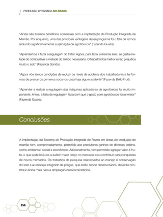 PRODUÇÃO INTEGRADA NO BRASIL
556
“Ainda não tivemos benefícios comerciais com a implantação da Produção Integrada de
Mamão. Por enquanto, uma das principais vantagens desse programa foi o fato de termos
reduzido significativamente a aplicação de agrotóxicos” (Fazenda Guaíra).
“Aprendemos a fazer a regulagem do trator. Agora, para fazer a mesma área, se gasta me-
tade do combustível e metade do tempo necessário. O trabalho fica melhor e não prejudica
muito o solo” (Fazenda Gondo).
“Agora nós temos condições de reduzir os níveis de acidente dos trabalhadores e ter for-
mas de prestar os primeiros socorros caso haja algum acidente” (Fazenda Bello Fruit).
“Aprender a realizar a regulagem das máquinas aplicadoras de agrotóxicos foi muito im-
portante. Antes, a falta de regulagem fazia com que o gasto com agrotóxicos fosse maior”
(Fazenda Guaíra).
conclusões
A implantação do Sistema de Produção Integrada de Frutas em áreas de produção de
mamão tem, comprovadamente, permitido aos produtores ganhos de diversas ordens,
como ambiental, social e econômico. Adicionalmente, tem permitido agregar valor à fru-
ta, o que pode levá-los a auferir maior preço no mercado e/ou contribuir para conquistas
de novos mercados. Os trabalhos de pesquisa relacionados ao manejo e conservação
do solo e ao manejo integrado de pragas, que estão sendo desenvolvidos, deverão con-
tribuir ainda mais para a ampliação desses benefícíos.
 