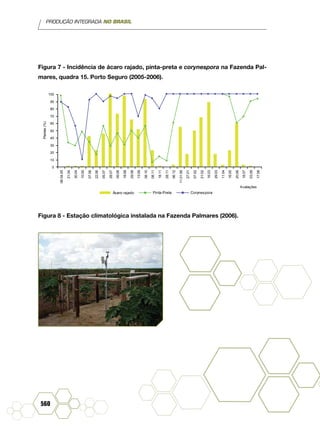 PRODUÇÃO INTEGRADA NO BRASIL
560
Figura 7 - Incidência de ácaro rajado, pinta-preta e corynespora na Fazenda Pal-
mares, quadra 15. Porto Seguro (2005-2006).
06.04.05
21.04
30.04
10.05
07.06
22.06
05.07
28.07
09.08
18.08
29.08
13.09
08.10
08.11
18.11
28.11
06.12
11.01.06
27.01
07.02
21.02
16.03
29.03
11.04
16.05
20.06
18.07
03.08
17.08
0
10
20
30
40
50
60
70
80
90
100
Avaliações
Plantas(%)
Ácaro rajado Pinta-Preta Corynespora
Figura 8 - Estação climatológica instalada na Fazenda Palmares (2006).
 