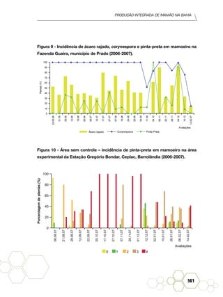 Produção Integrada de mamão na Bahia
561
Figura 9 - Incidência de ácaro rajado, corynespora e pinta-preta em mamoeiro na
Fazenda Guaíra, município de Prado (2006-2007).22.05.06
31.05
09.06
12.06
19.06
26.06
06.07
12.07
17.07
27.07
07.08
16.08
24.08
28.08
04.09
11.09
04.10
06.11
20.11
28.11
04.12
10.12
12.02.07
0
10
20
30
40
50
60
70
80
90
100
Avaliações
Plantas(%)
Ácaro rajado Pinta-PretaCorynespora
Figura 10 - Área sem controle – incidência de pinta-preta em mamoeiro na área
experimental da Estação Gregório Bondar, Ceplac, Barrolândia (2006-2007).
Avaliações
0
20
40
60
80
100
08.08.07
21.08.07
28.08.07
12.09.07
22.09.07
05.10.07
17.10.07
27.10.07
07.11.07
20.11.07
01.12.07
12.12.07
02.01.07
15.01.07
26.01.07
06.02.07
14.02.07
Porcentagemdeplantas(%)
0 1 2 3 4
 