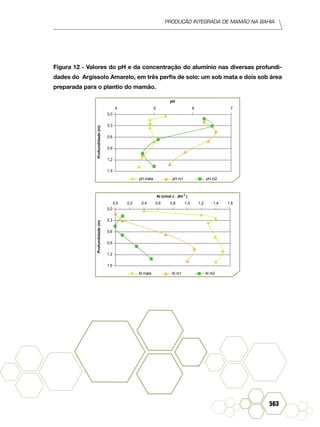 Produção Integrada de mamão na Bahia
563
Figura 12 - Valores do pH e da concentração do alumínio nas diversas profundi-
dades do Argissolo Amarelo, em três perfis de solo: um sob mata e dois sob área
preparada para o plantio do mamão.
0,0
4 5 6 7
Profundidade(m)
pH
0,3
0,6
0,9
1,2
1,5
pH mata pH m1 pH m2
0,0
0,0 0,2 0,4 0,6 0,8 1,0 1,2 1,4 1,6
Profundidade(m)
Al (cmol c . dm )-3
0,3
0,6
0,9
1,2
1,5
Al mata Al m1 Al m2
 