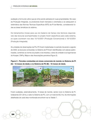 PRODUÇÃO INTEGRADA NO BRASIL
594
avaliação a forma de cultivo que já vinha sendo adotada em suas propriedades. No caso
da Produção Integrada, os produtores foram treinados e orientados a se adequarem à
sistemática das Normas Técnicas Específicas (NTE) da PI de Mamão, considerando to-
das as áreas temáticas do sistema.
Os treinamentos iniciais para uso do Caderno de Campo dos técnicos responsá-
veis das lavouras acompanhadas no projeto foram específicos para cada sistema,
os quais ocorreram nos dias 15/10/2001 (Produção Convencional) e 16/10/2001
(Produção Integrada).
As unidades de observações da PI e PC foram implantadas no período de janeiro a agosto
de 2002; as lavouras conduzidas no Sistema de PI foram identificadas com placas padro-
nizadas, contendo os nomes do projeto e da empresa, a área da unidade e as logomarcas
do Incaper, CNPq, Mapa e das Associações parceiras (Figura 3).
Figura 3 - Parcelas conduzidas em áreas comerciais de mamão no Sistema de PI
(A) - 12 meses de idade; e no Sistema de PC (B) - 10 meses de idade.
Foram avaliadas, sistematicamente, 16 áreas de mamão, sendo nove no Sistema de PI,
totalizando 201,59 ha, e sete no Sistema de PC, com um total de 90,2 ha. As informações
detalhadas de cada área monitorada encontram-se na Tabela 7.
A B
 