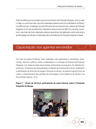 Produção Integrada de manga
653
Pode-se verificar que nos produtos que já se encontravam sob Produção Integrada, como a maçã,
o melão e a uva fina de mesa, não foram detectados resíduos acima do Limite Máximo de Resídu-
os (LMR); contudo, no pêssego, que até 2003 ainda não era produzido sob o sistema de Produção
Integrada, em 5% das amostras foram detectados resíduos acima do LMR. Por outro lado, somen-
te em uvas finas não foram detectados resíduos de produtos não registrados, sendo este ainda o
grande gargalo que dificulta a implantação plena dos Sistemas de Produção Integrada no Brasil.
Capacitação dos agentes envolvidos
Por meio do projeto PI Manga, foram realizados, para agricultores e estudantes, treina-
mentos, teóricos e práticos, sobre a implantação e a condução do Sistema de Produção
Integrada, com visitas às áreas das empresas participantes do programa. Os referidos trei-
namentos, ministrados por pesquisadores e bolsistas da Embrapa Semi-Árido, enfatizaram
a identificação de sintomas de pragas e doenças no campo, os aspectos agronômicos da
cultura, o preenchimento das planilhas de amostragem e dos Cadernos de Campo e de
Pós-Colheita (Figuras 1 e 2).
Figura 1 - Grupo de técnicos participando de aulas teóricas sobre a Produção
Integrada de Manga.
 