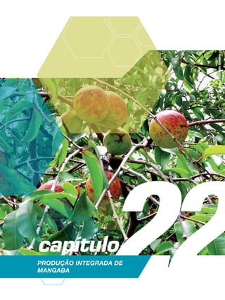 22capítulo
Produção integrada de
mangaba
Foto:EdivaldoGaldino
 