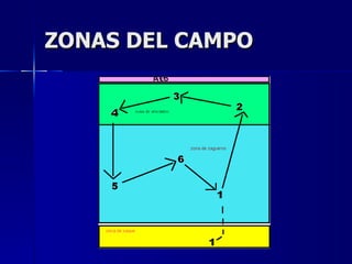 ZONAS DEL CAMPO 