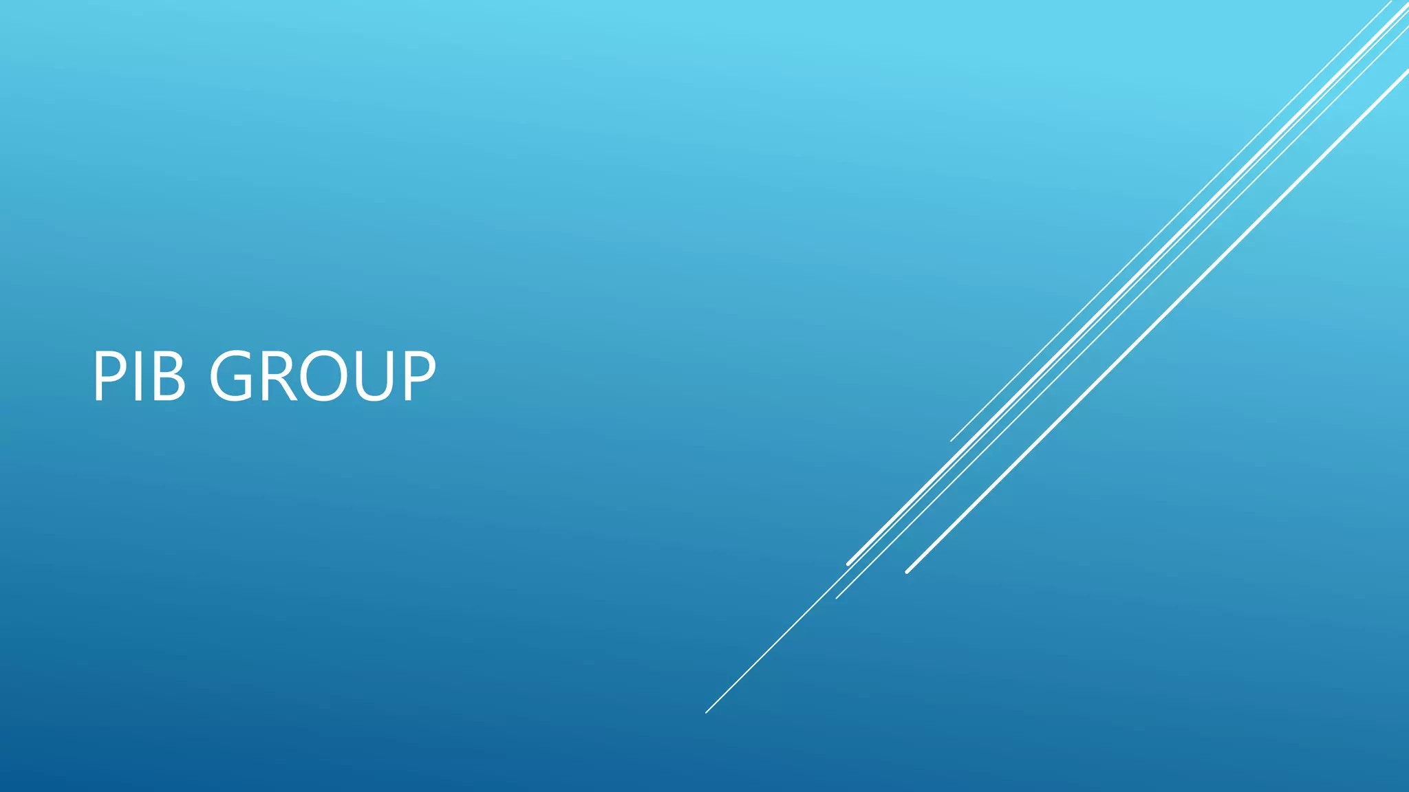 PIB Group.pptx