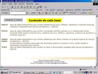 Conteúdo de cada base 