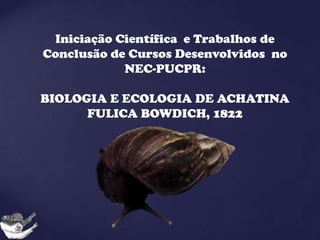 Iniciação Científica e Trabalhos de
Conclusão de Cursos Desenvolvidos no
            NEC-PUCPR:

BIOLOGIA E ECOLOGIA DE ACHATINA
      FULICA BOWDICH, 1822
 