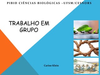 PIBID CIÊNCIAS BIOLÓGICAS –UFSM/CESNORS




TRABALHO EM
   GRUPO




                 Carine Klein
 