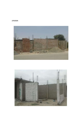 ANEXOS
 