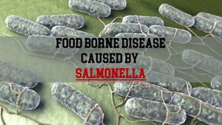 Food borne illness associated with salmonella