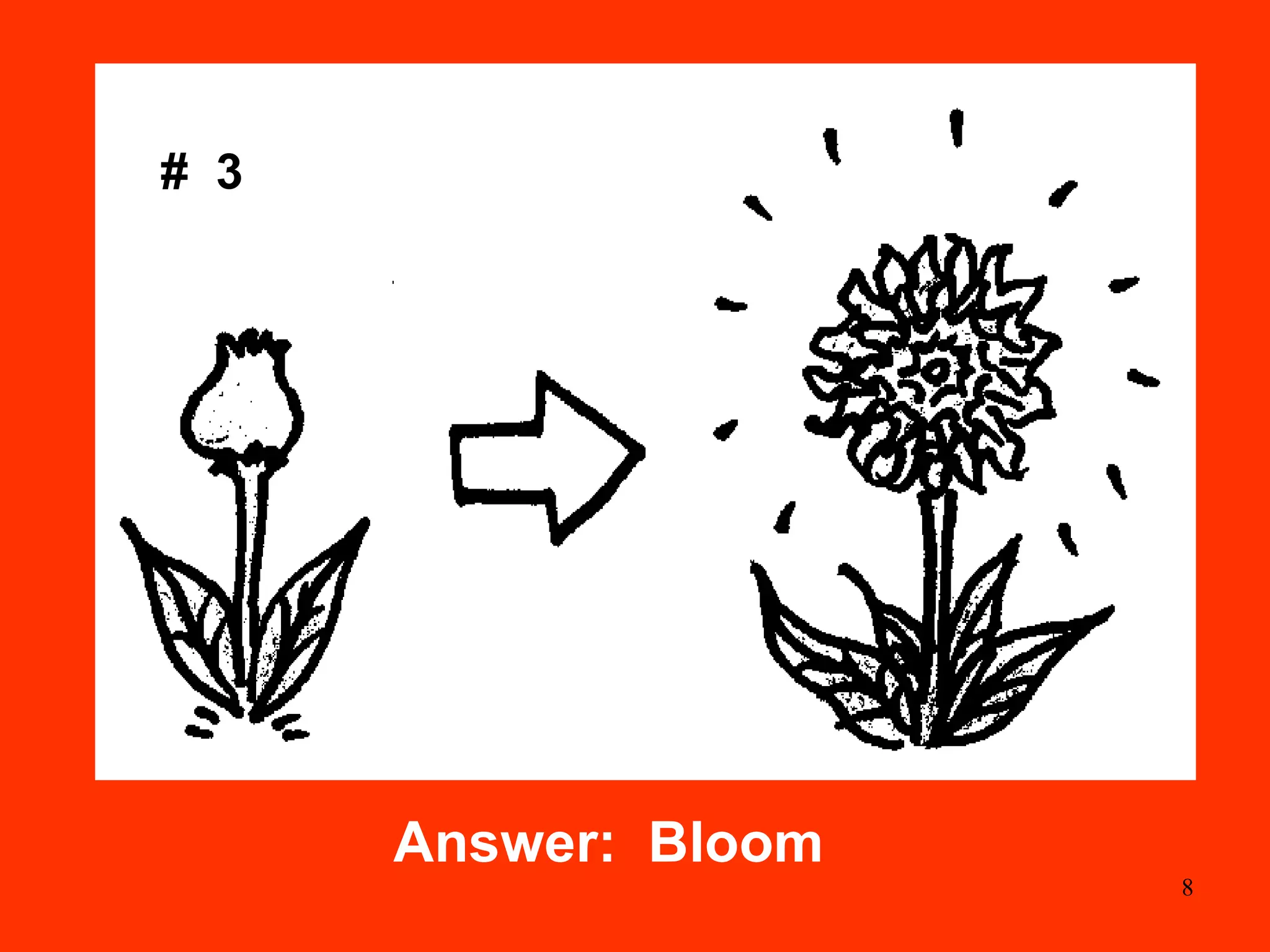pic-word-fun-for-the-young-ppt-free-download