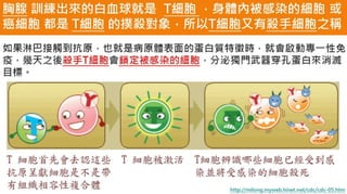 皮膚生理學2 : 皮膚科學概論 