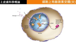 皮膚生理學2 : 皮膚科學概論 