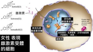 皮膚生理學2 : 皮膚科學概論 