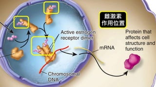 皮膚生理學2 : 皮膚科學概論 