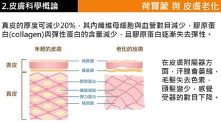皮膚生理學2 : 皮膚科學概論 