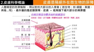 皮膚生理學2 : 皮膚科學概論 
