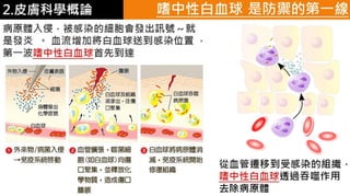 皮膚生理學2 : 皮膚科學概論 