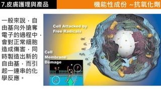 皮膚生理學7 : 皮膚護理 與 產品