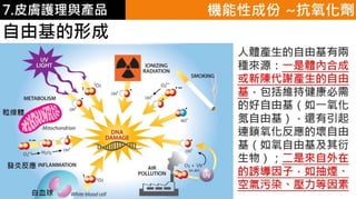皮膚生理學7 : 皮膚護理 與 產品