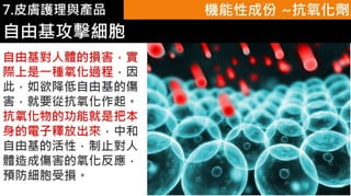 皮膚生理學7 : 皮膚護理 與 產品