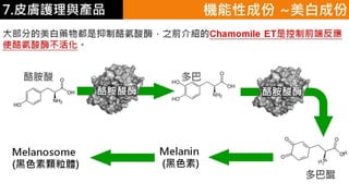皮膚生理學7 : 皮膚護理 與 產品