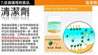 皮膚生理學7 : 皮膚護理 與 產品