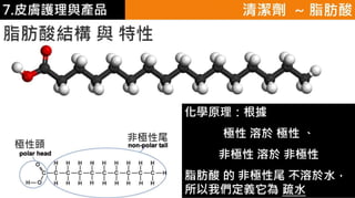 皮膚生理學7 : 皮膚護理 與 產品