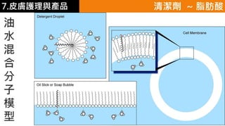 皮膚生理學7 : 皮膚護理 與 產品