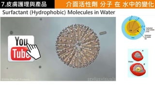 皮膚生理學7 : 皮膚護理 與 產品