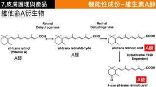 皮膚生理學7 : 皮膚護理 與 產品