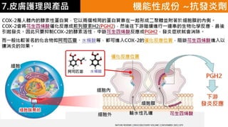 皮膚生理學7 : 皮膚護理 與 產品