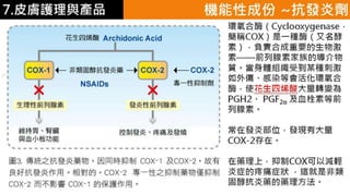 皮膚生理學7 : 皮膚護理 與 產品