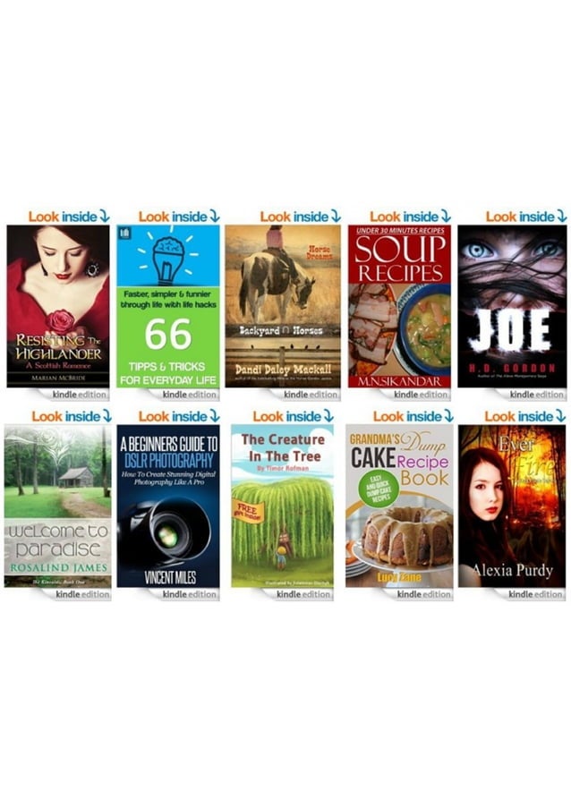 Bookkeeping AllinOne for Dummies PDF