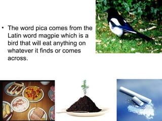 pica meaning pica meaning