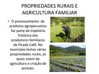 PROPRIEDADES RURAIS E AGRICULTURA FAMILIAR O processamento  de produtos agropecuários faz parte da trajetória histórica dos produtores familiares de Picada Café. No município temos várias propriedades rurais, as quais vivem da agricultura e criação de animais. 