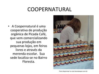 COOPERNATURAL A Coopernatural é uma cooperativa de produção orgânica de Picada Café, que vem comercializando sua produção em pequenas lojas, em feiras livres e através da merenda escolar.  Sua sede localiza-se no Bairro Floresta. Foto disponível no site bionatexpo.com.br 