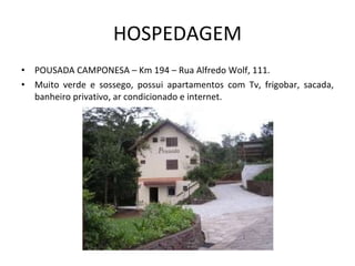 HOSPEDAGEM POUSADA CAMPONESA – Km 194 – Rua Alfredo Wolf, 111. Muito verde e sossego, possui apartamentos com Tv, frigobar, sacada, banheiro privativo, ar condicionado e internet. 