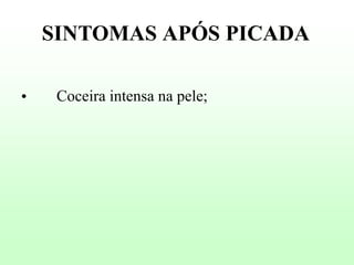 SINTOMAS APÓS PICADA
•

Coceira intensa na pele;

 
