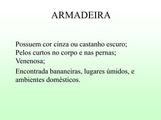 ARMADEIRA
Possuem cor cinza ou castanho escuro;
Pelos curtos no corpo e nas pernas;
Venenosa;
Encontrada bananeiras, lugares úmidos, e
ambientes domésticos.

 