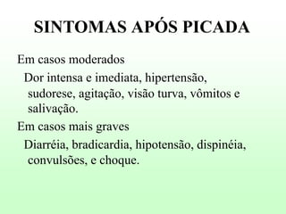 SINTOMAS APÓS PICADA
Em casos moderados
Dor intensa e imediata, hipertensão,
sudorese, agitação, visão turva, vômitos e
salivação.
Em casos mais graves
Diarréia, bradicardia, hipotensão, dispinéia,
convulsões, e choque.

 