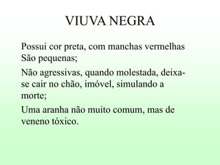 VIUVA NEGRA
Possui cor preta, com manchas vermelhas
São pequenas;
Não agressivas, quando molestada, deixase cair no chão, imóvel, simulando a
morte;
Uma aranha não muito comum, mas de
veneno tóxico.

 