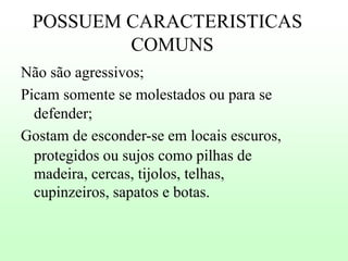 POSSUEM CARACTERISTICAS
COMUNS
Não são agressivos;
Picam somente se molestados ou para se
defender;
Gostam de esconder-se em locais escuros,
protegidos ou sujos como pilhas de
madeira, cercas, tijolos, telhas,
cupinzeiros, sapatos e botas.

 